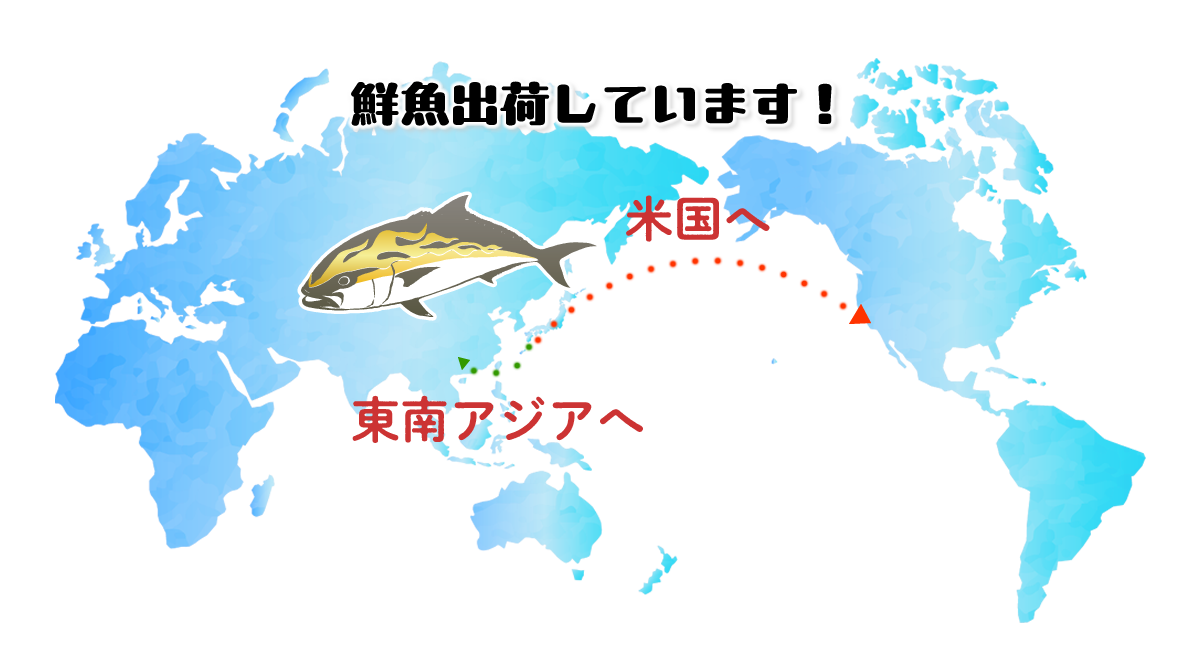 海外向けに鮮魚出荷しています